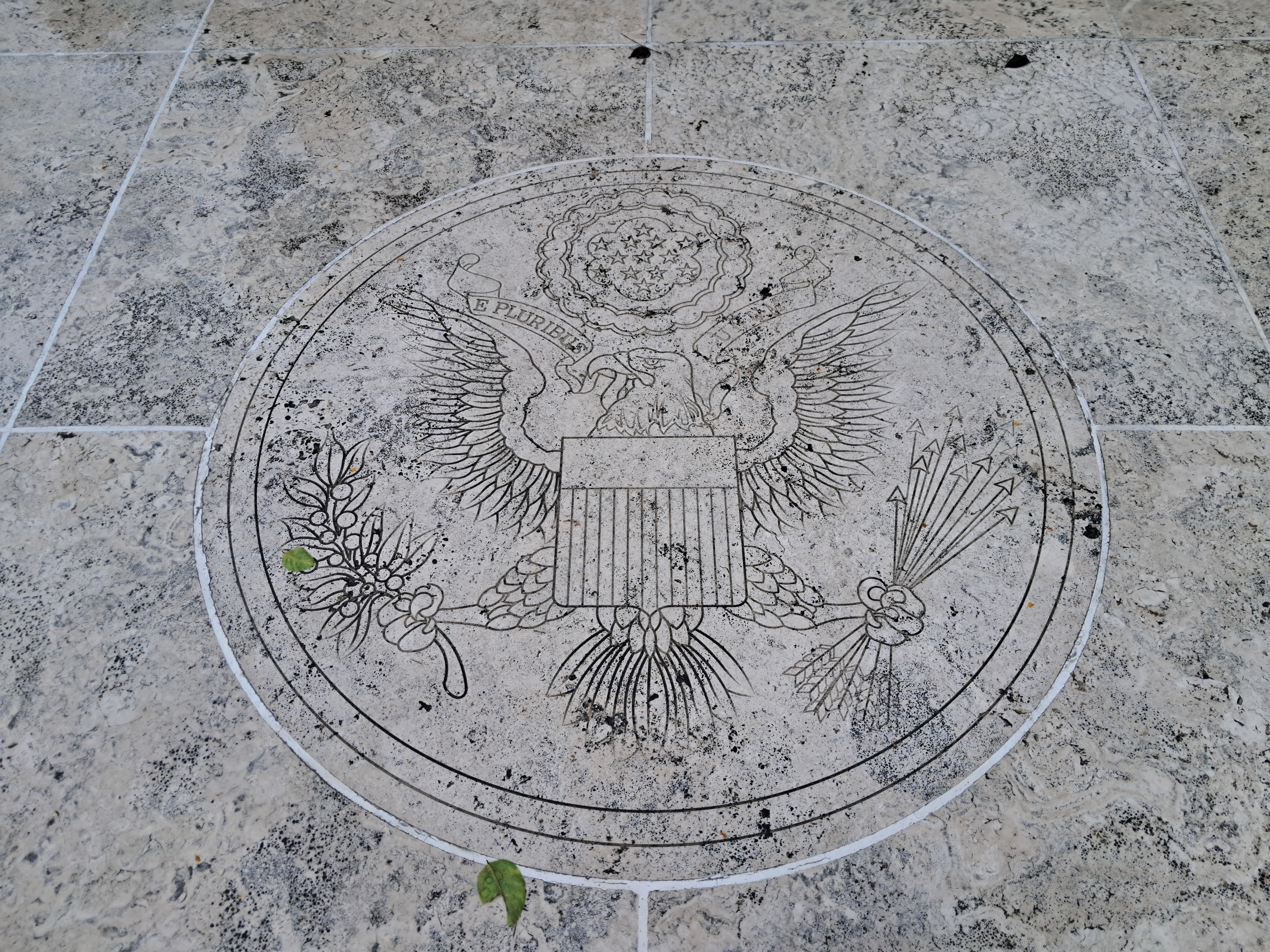 Mock interview session with Teleperformance HR team